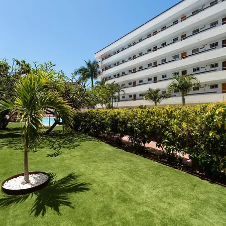 Apartament Palm View Camelias